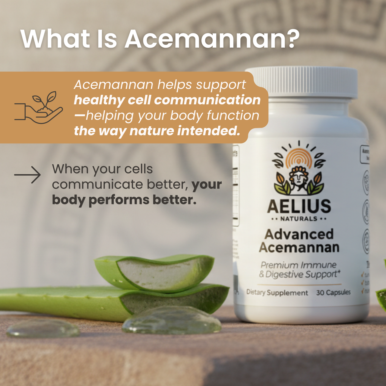Advanced Acemannan